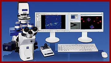 原子力显微镜多少钱-一起来了解价格[欢迎来到公海710线路-欢迎来到公海堵船7108-555000jc线路检测中心-公海555000hh线路检测-欢迎来到公海手机版710-欢迎来到公海710156-公海彩船6600cc-公海gh555000aa线路检测仪器]