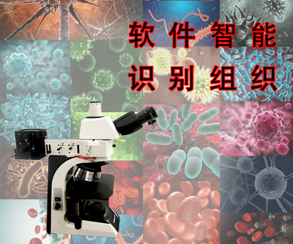 正置金相显微镜多少钱 正置金相显微镜多少钱