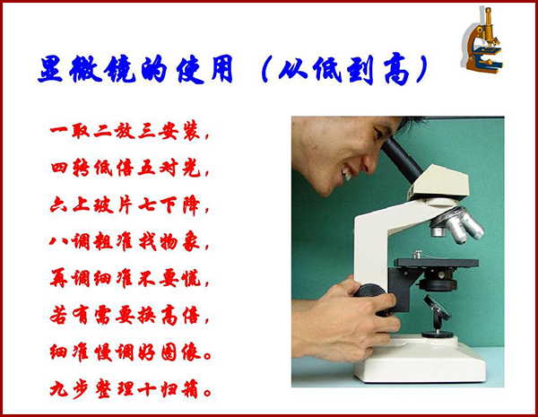 德国徕卡显微镜的使用方法 德国徕卡显微镜的使用方法