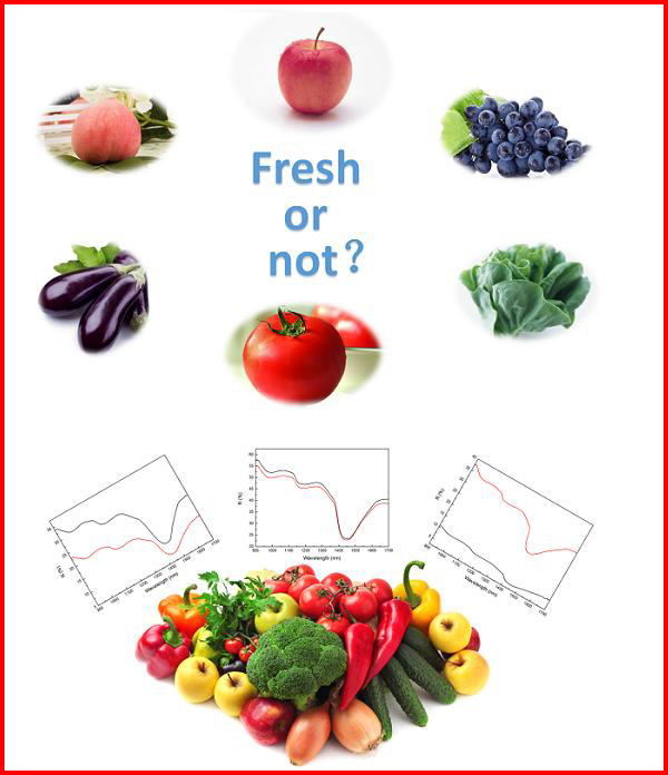 近红外光谱检测 近红外光谱检测